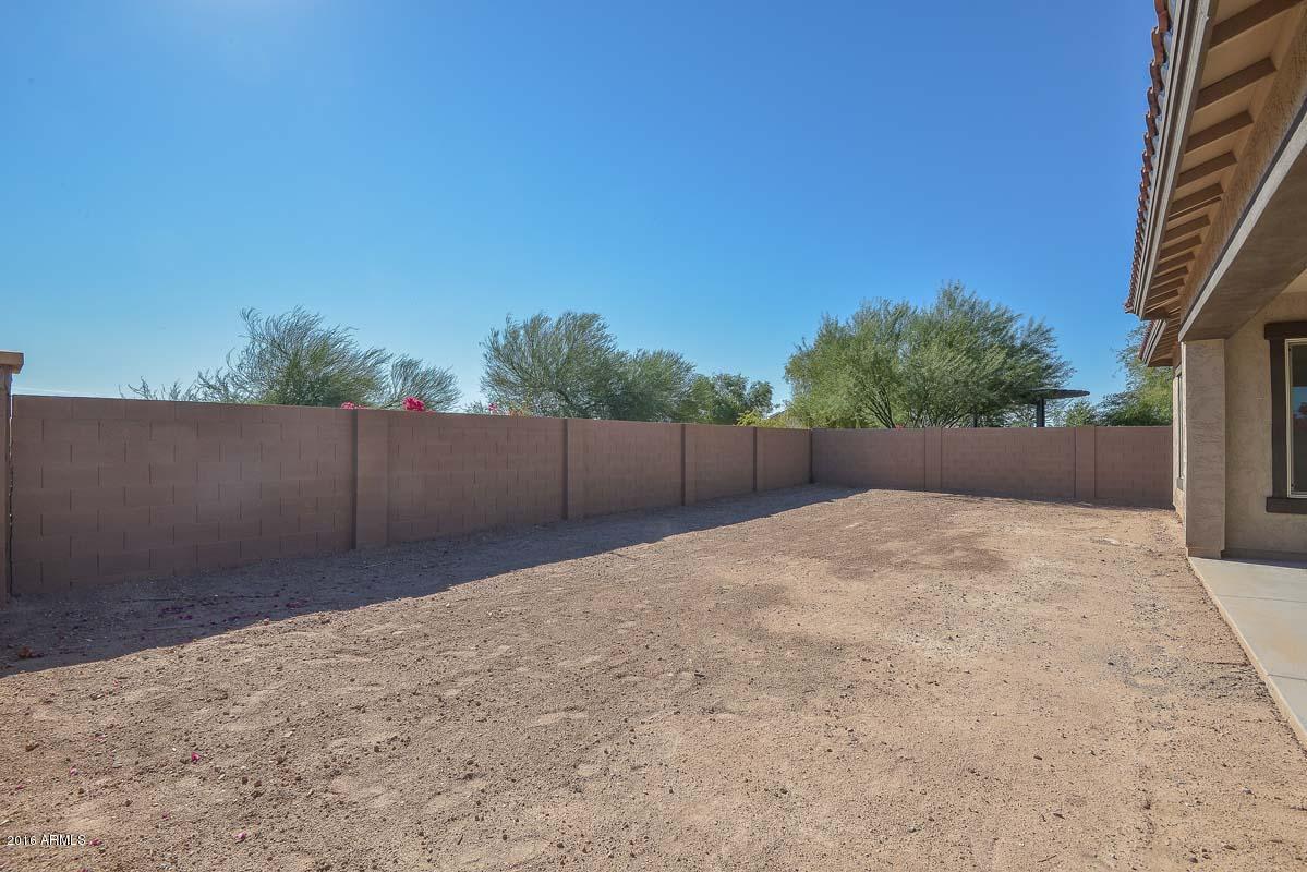 15623 West Coronado Road Goodyear, AZ 85395 - Photo 35 of 38 Backyard
