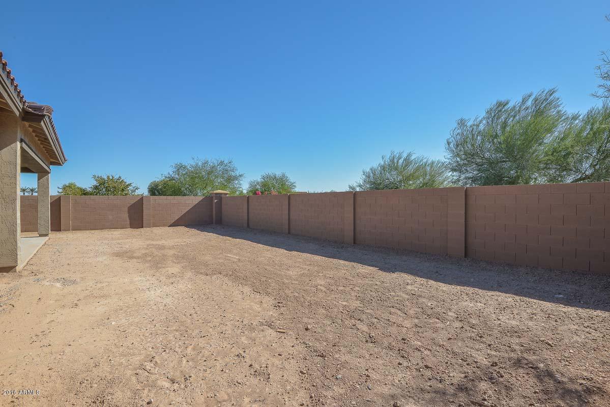 15623 West Coronado Road Goodyear, AZ 85395 - Photo 36 of 38 Backyard2