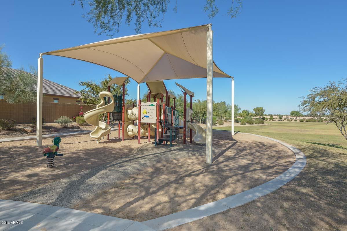 15623 West Coronado Road Goodyear, AZ 85395 - Photo 4 of 38 Adjacent Park
