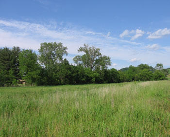 Lot 35 Creekside Addition Coon Valley Coon Valley, WI 54623 - Photo 1 of 1 IMG_3123