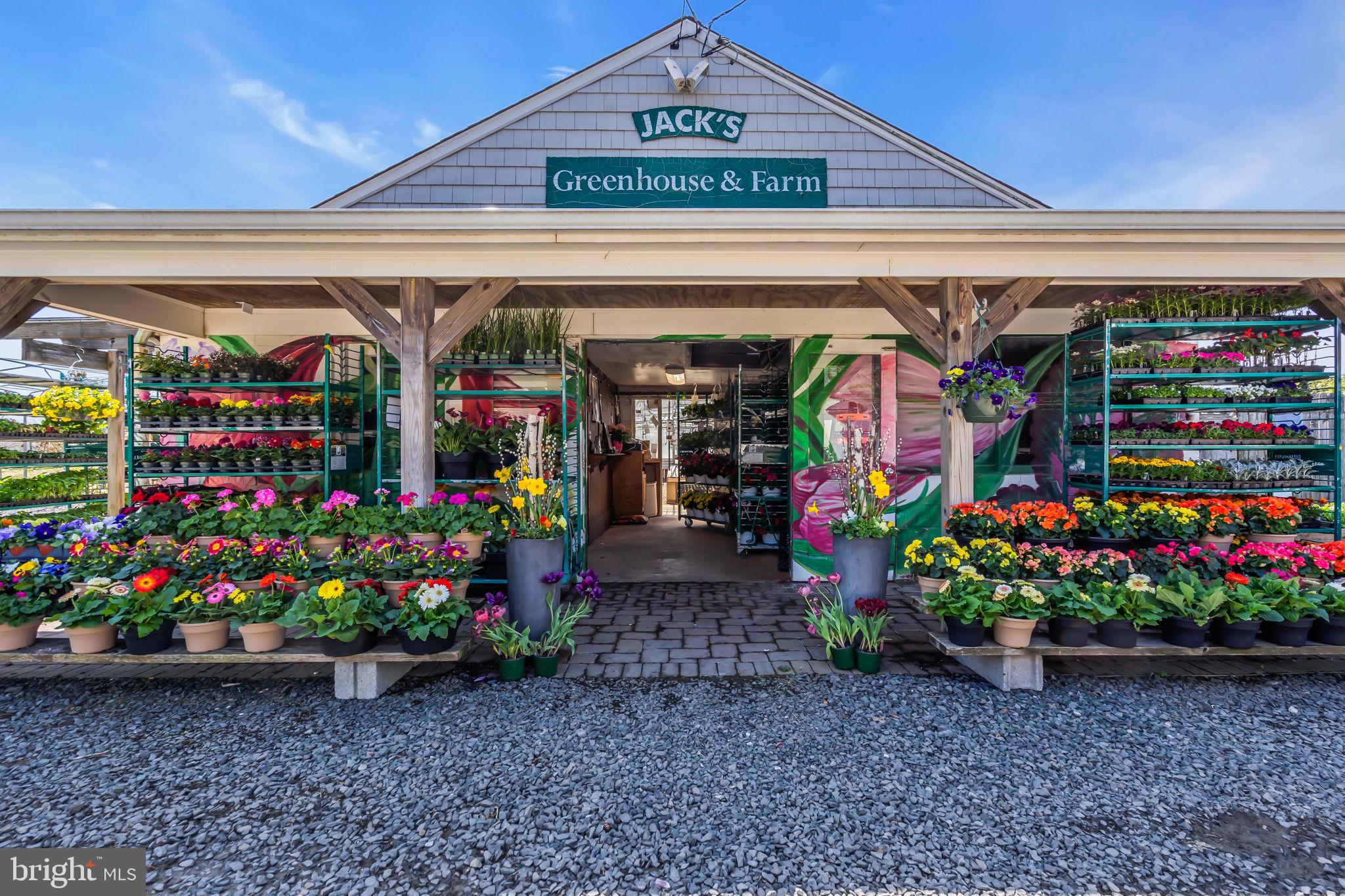 10 Woosamonsa Road Pennington, NJ 08534 - Photo 3 of 60