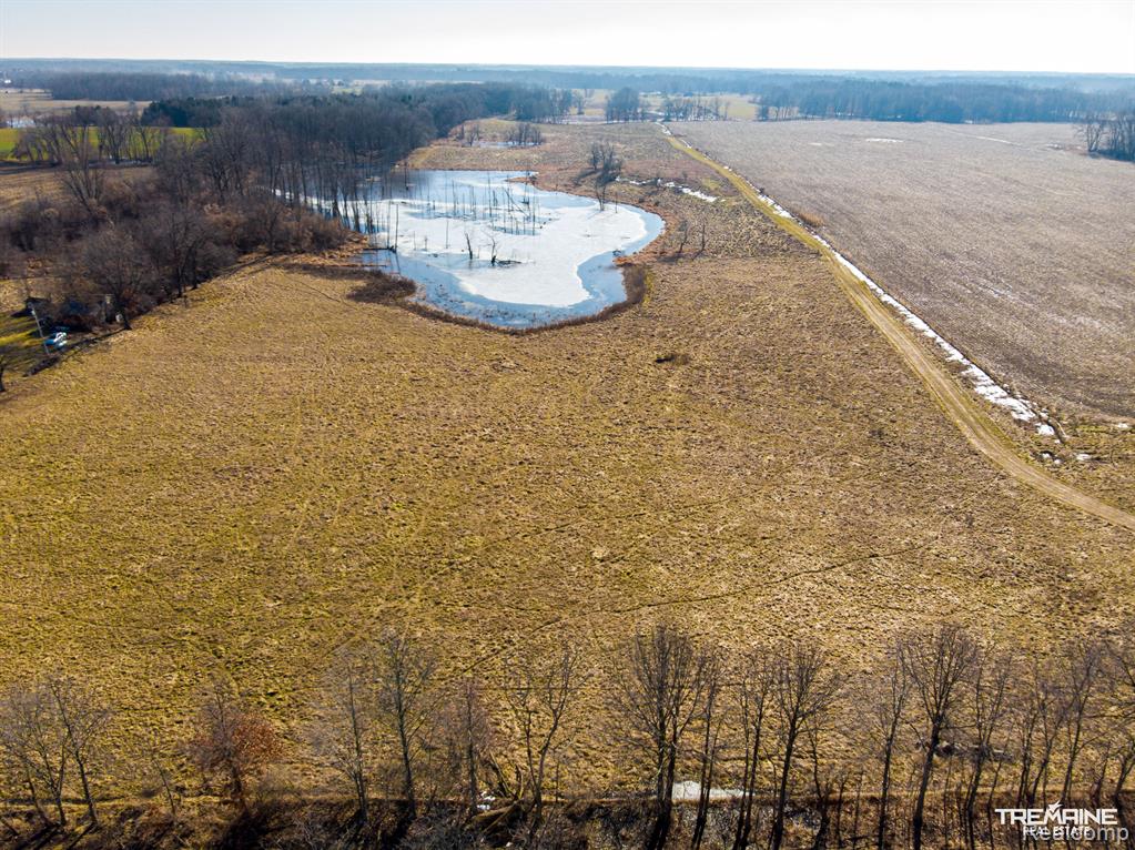 Vl Church Road Bancroft, MI 48414 - Photo 1 of 8