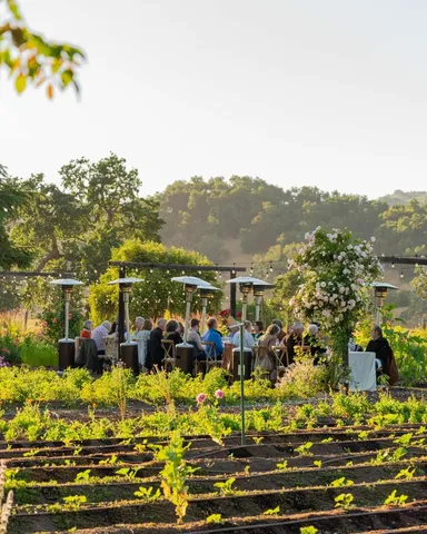 a view of a swimming pool with a yard