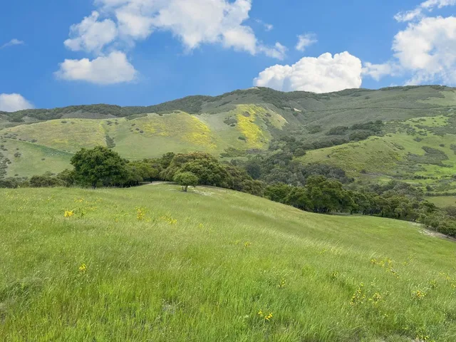 a view of a mountain with a garden