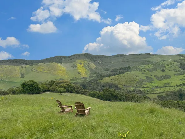 a view of a big yard