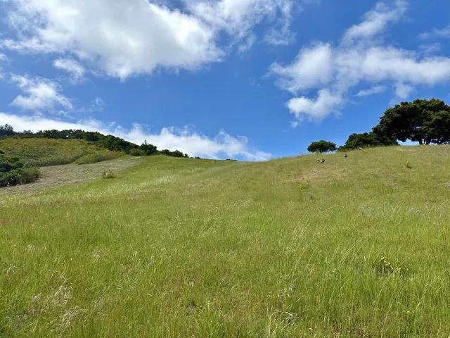 a view of a city with mountains in the background