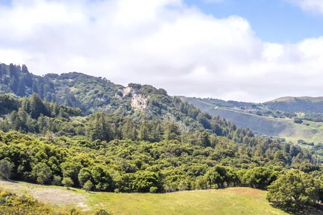 a view of a lake in the middle of a field