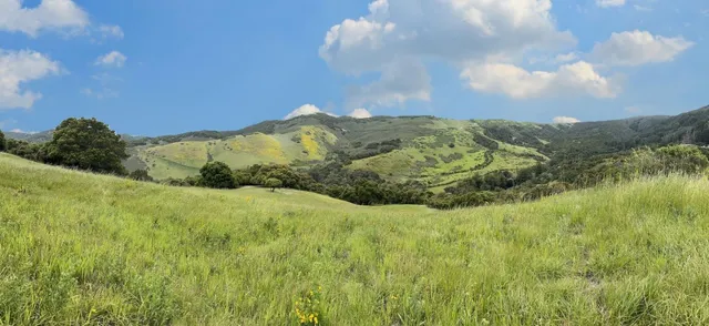 a view of swimming pool with mountain view