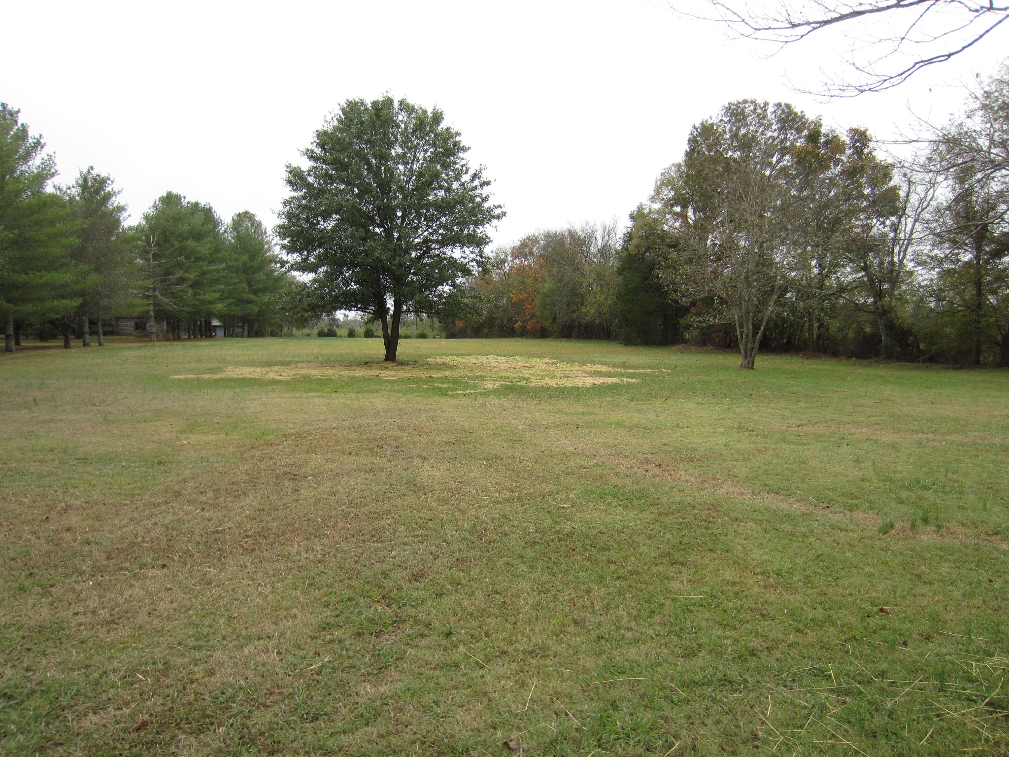 670 Vesta Road Lebanon, TN 37090 - Photo 7 of 20 a view of outdoor space and yard