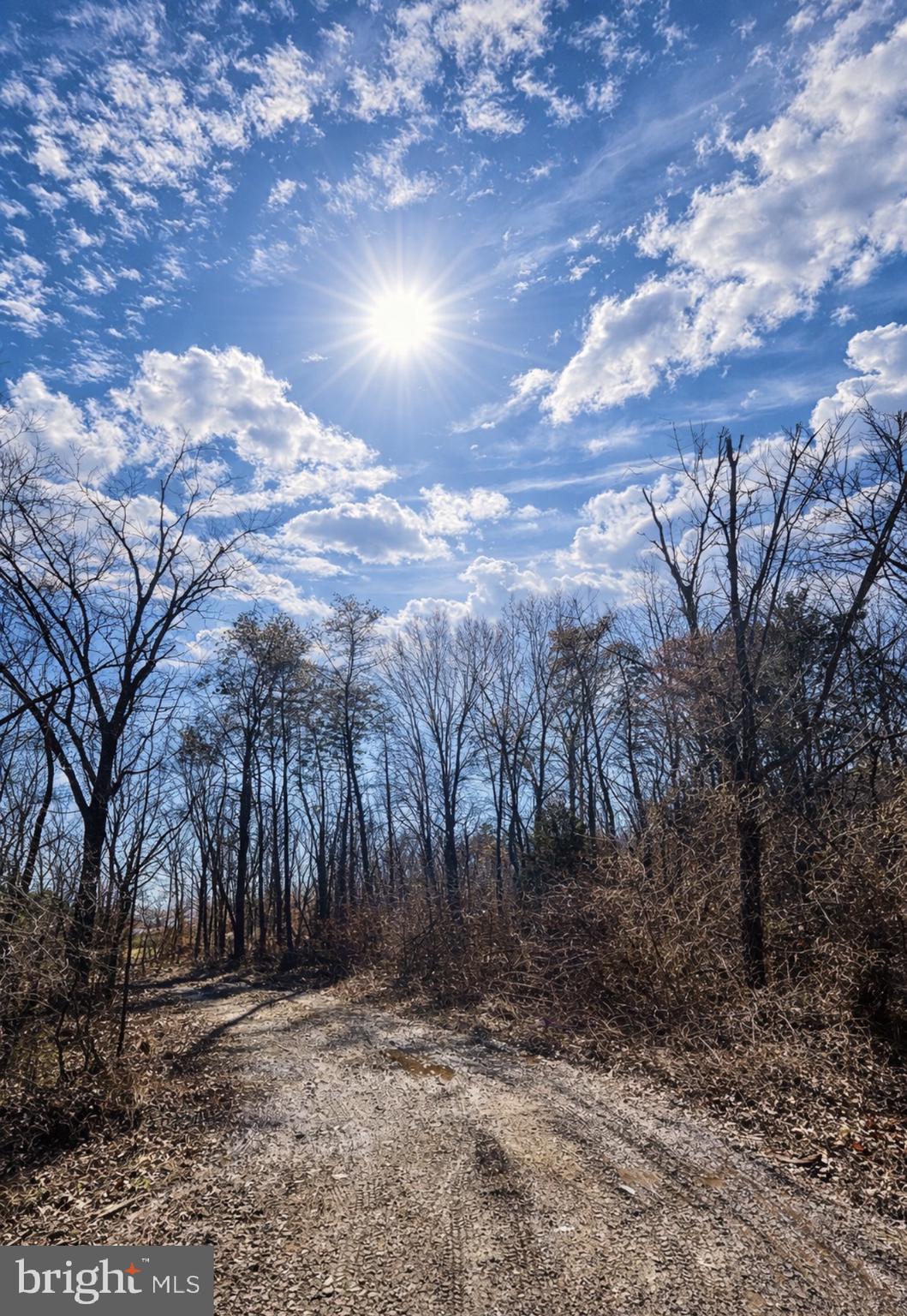 0 Messick Road Strasburg, VA 22657 - Photo 2 of 10 a view of outdoor space with green space