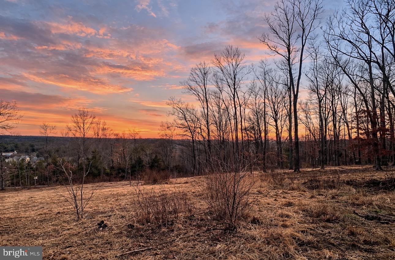 0 Messick Road Strasburg, VA 22657 - Photo 3 of 10 a backyard of a house with large trees