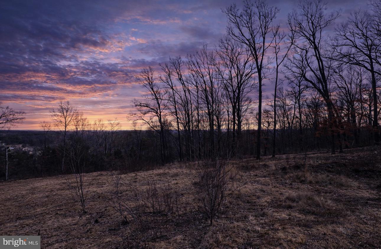0 Messick Road Strasburg, VA 22657 - Photo 4 of 10 a view of backyard with green space