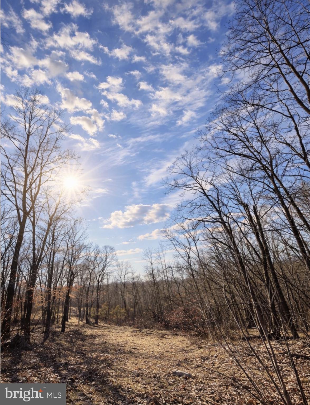 0 Messick Road Strasburg, VA 22657 - Photo 5 of 10 a view of mountain view with trees