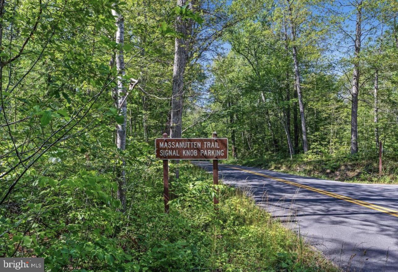 0 Messick Road Strasburg, VA 22657 - Photo 8 of 10 a garden view with a bench
