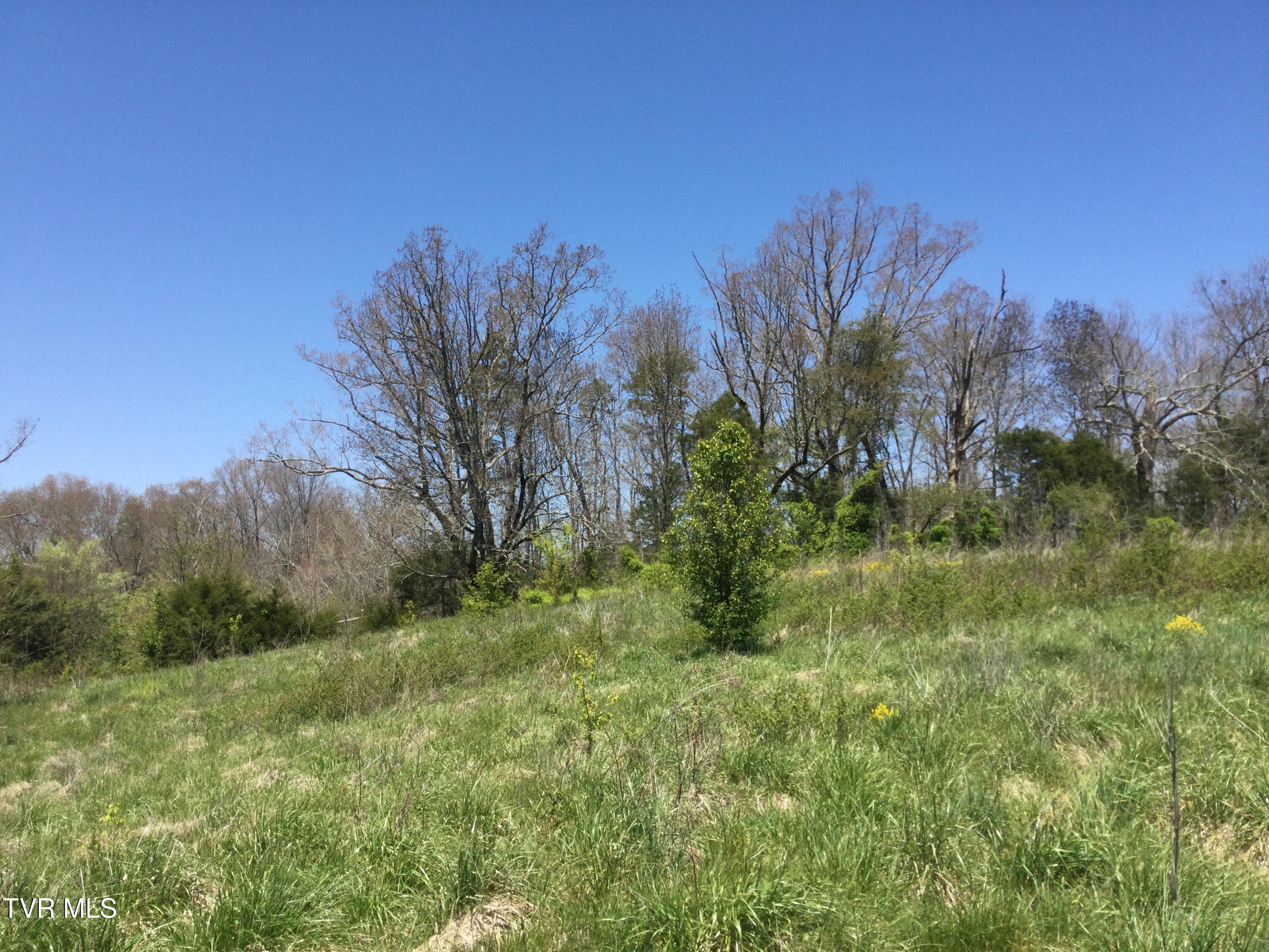 3050 Shackleford Road, Unit P/O Mosheim, TN 37818 - Photo 73 of 79 _Pic102 (2)