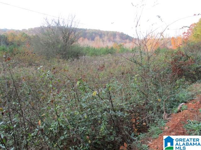 Smith Road, Unit 23 25 Oneonta, AL 35121 - Photo 2 of 5
