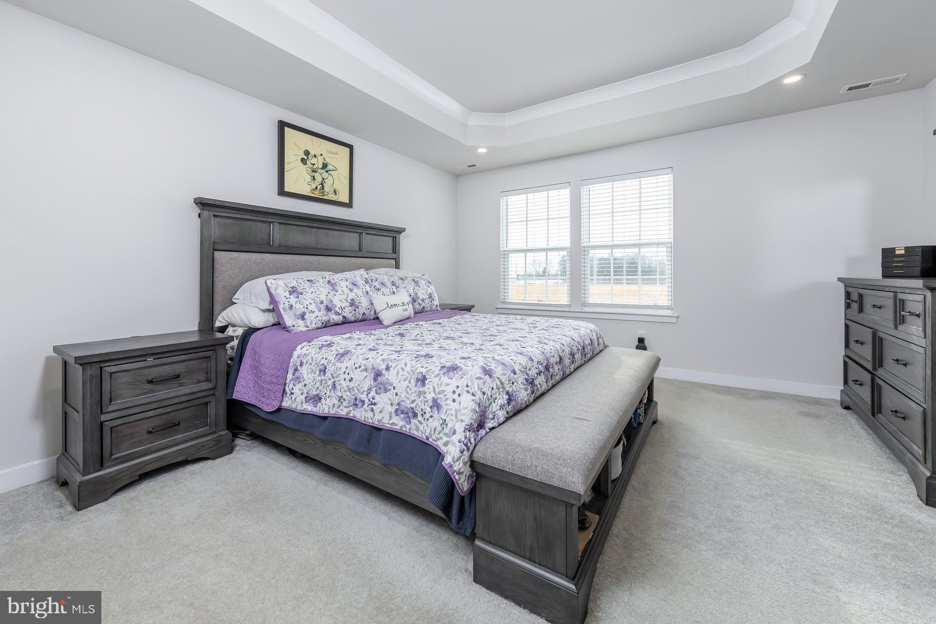 246 Freedom Way Sicklerville, NJ 08081 - Photo 15 of 23 a bedroom with a bed and a cabinets
