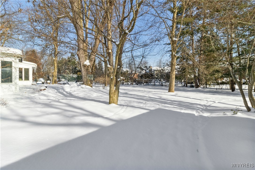 125 Briarhill Road Amherst, NY 14221 - Photo 45 of 50