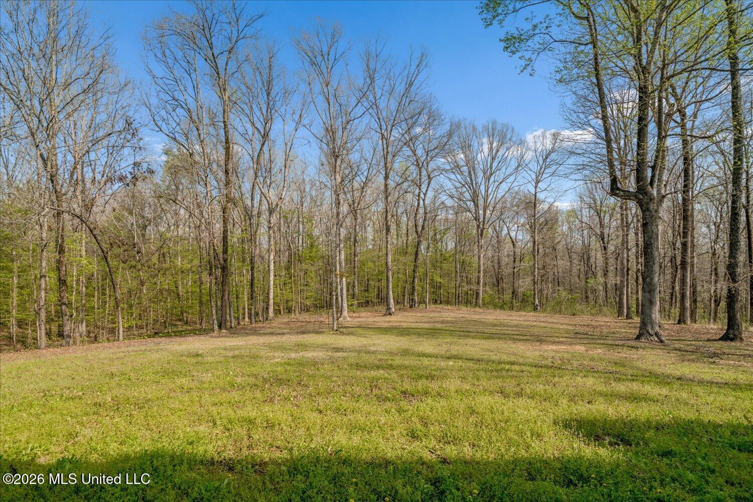 498 Tunstall Road Byhalia, MS 38611 - Photo 35 of 36 35-35-2894007am-498 Tunstall Road