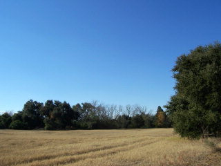 Lot 2 Shaws Fork Road Aiken, SC 29801 - Photo 1 of 1