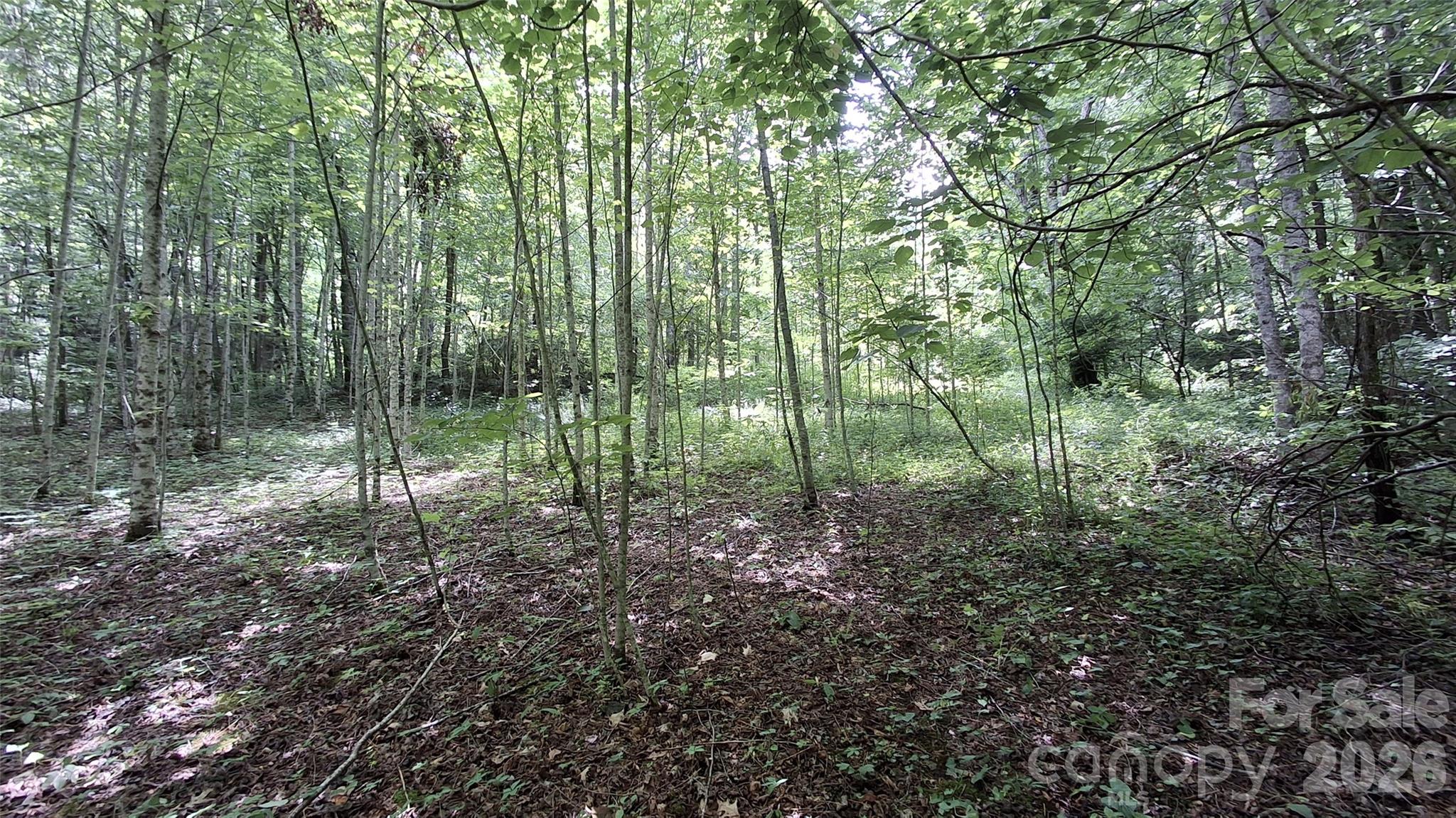 0 Dry Creek Road Robbinsville, NC 28771 - Photo 17 of 20