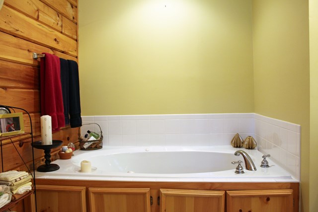 543 Mountain Shadows Road Hamilton, GA 31811 - Photo 19 of 36 tub