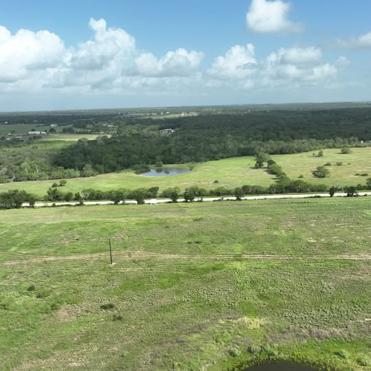Lot 10 Mineral Springs Road Lockhart, TX 78644 - Photo 3 of 3