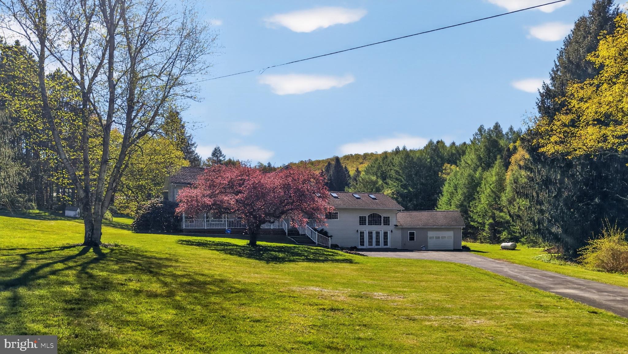 259 A A-Frame Road Coudersport, PA 16915 - Photo 68 of 130 Serene home nestled in lush greenery.