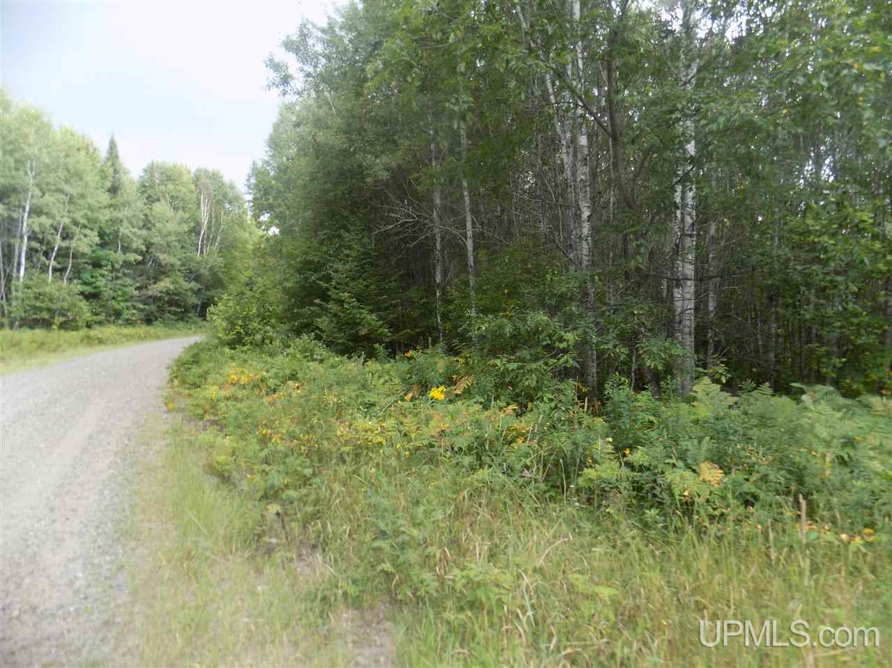 Tbd Mill Creek Road Republic, MI 49879 - Photo 10 of 11