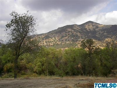 0 Jane Lane Three Rivers, CA 93271 - Photo 3 of 4 Additional Photo