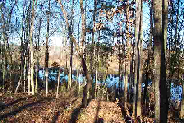 1900 Highway 252 Belton, SC 29627 - Photo 2 of 8 Gallery Image 2