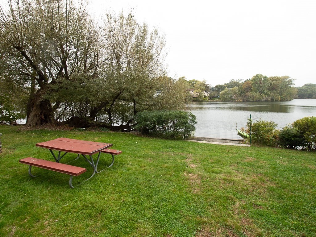 22 Hamilton Road, Unit 206 Arlington, MA 02474 - Photo 3 of 20 a garden view