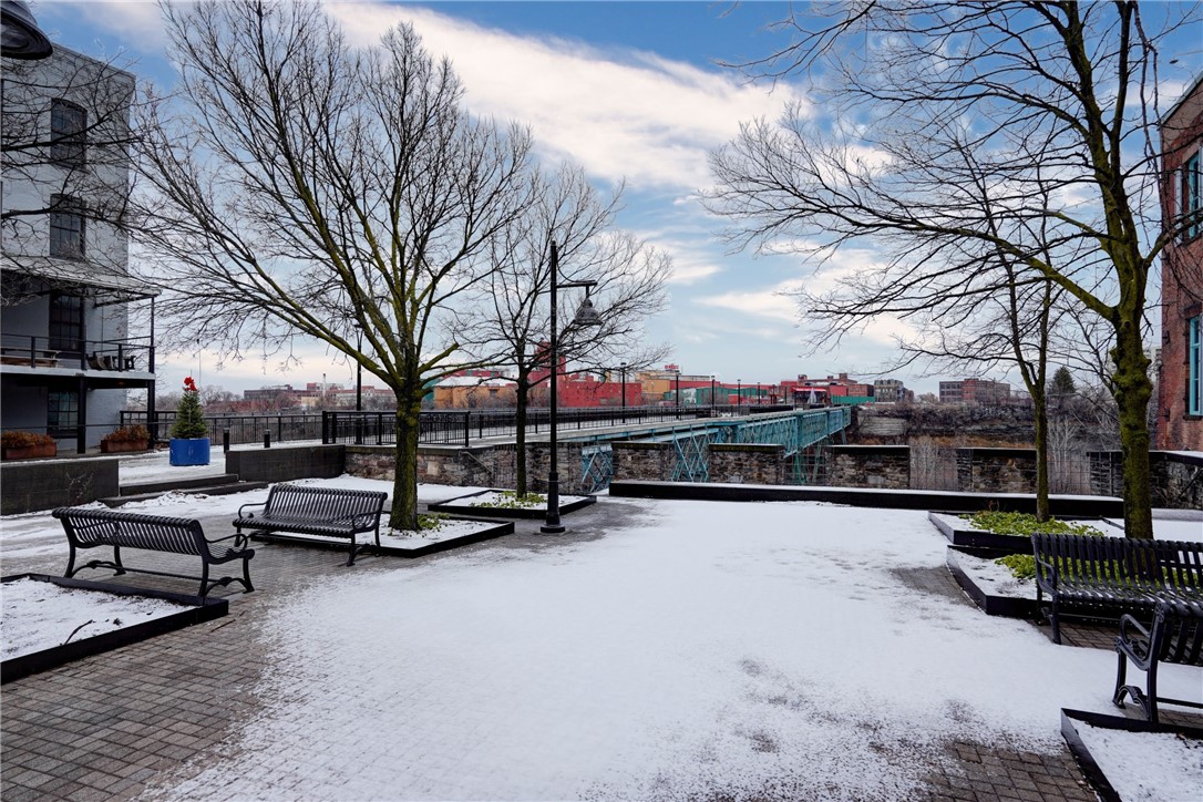 224 Mill Street, Unit 3A Rochester, NY 14614 - Photo 14 of 15 Beautiful area for walking!