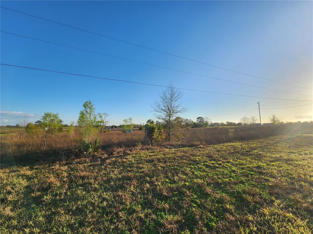 11790 Northeast 30th Street Bronson, FL 32621 - Photo 3 of 10