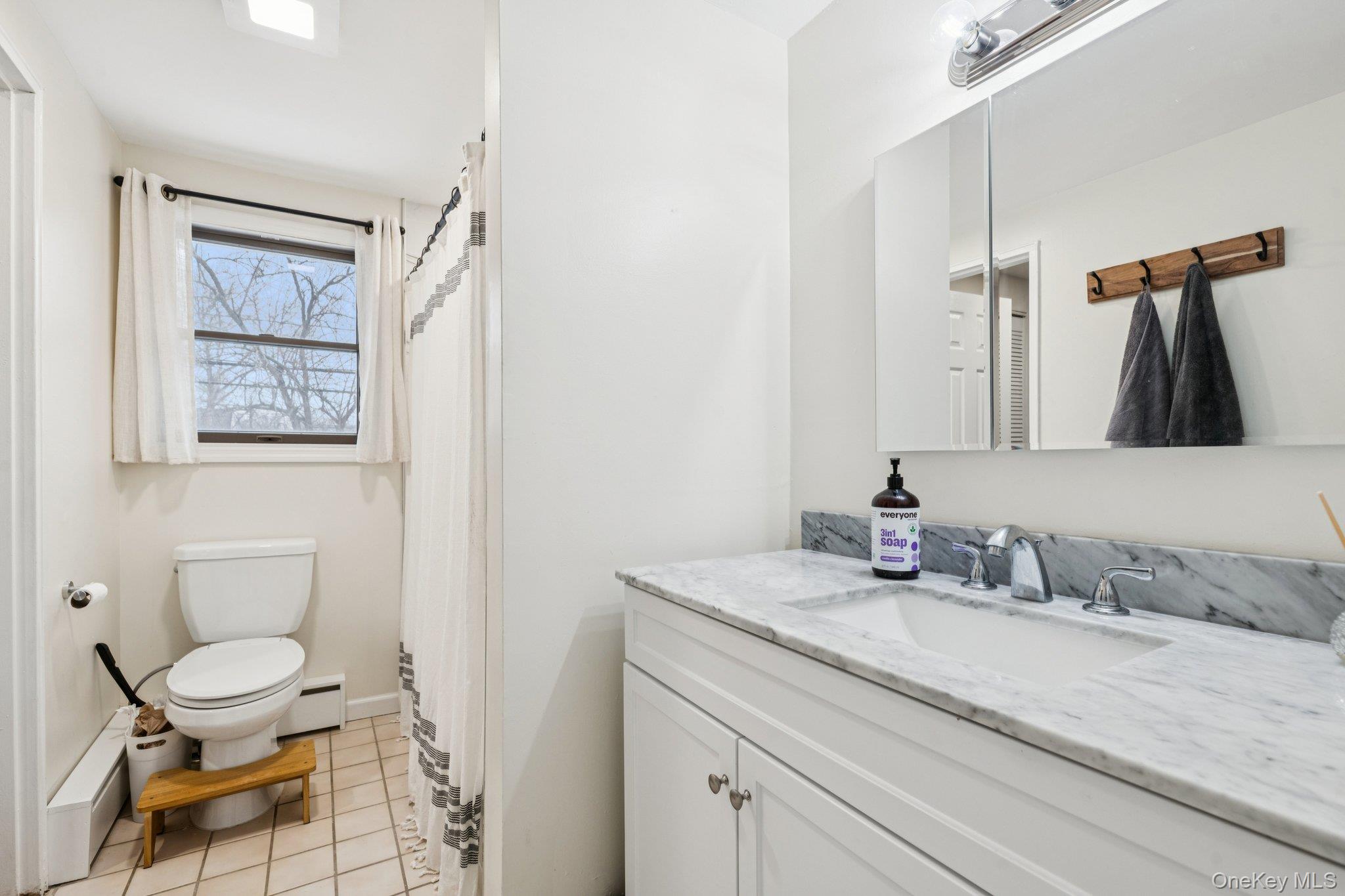 25 Wilson Street Centereach, NY 11720 - Photo 19 of 27 a bathroom with a granite countertop sink mirror vanity and toilet