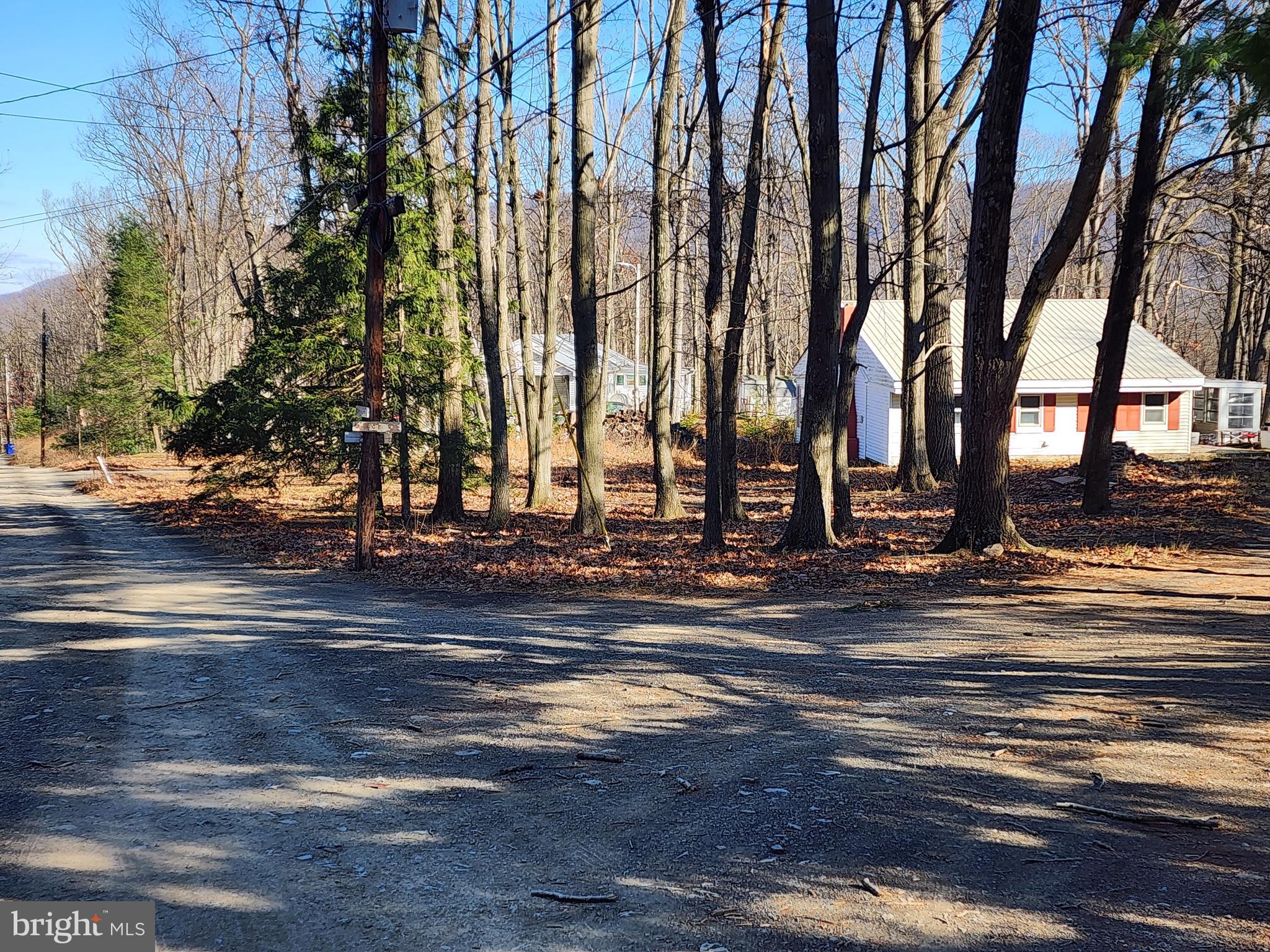 15689 Ridge Road Fort Loudon, PA 17224 - Photo 5 of 24 a view of outdoor space with street view