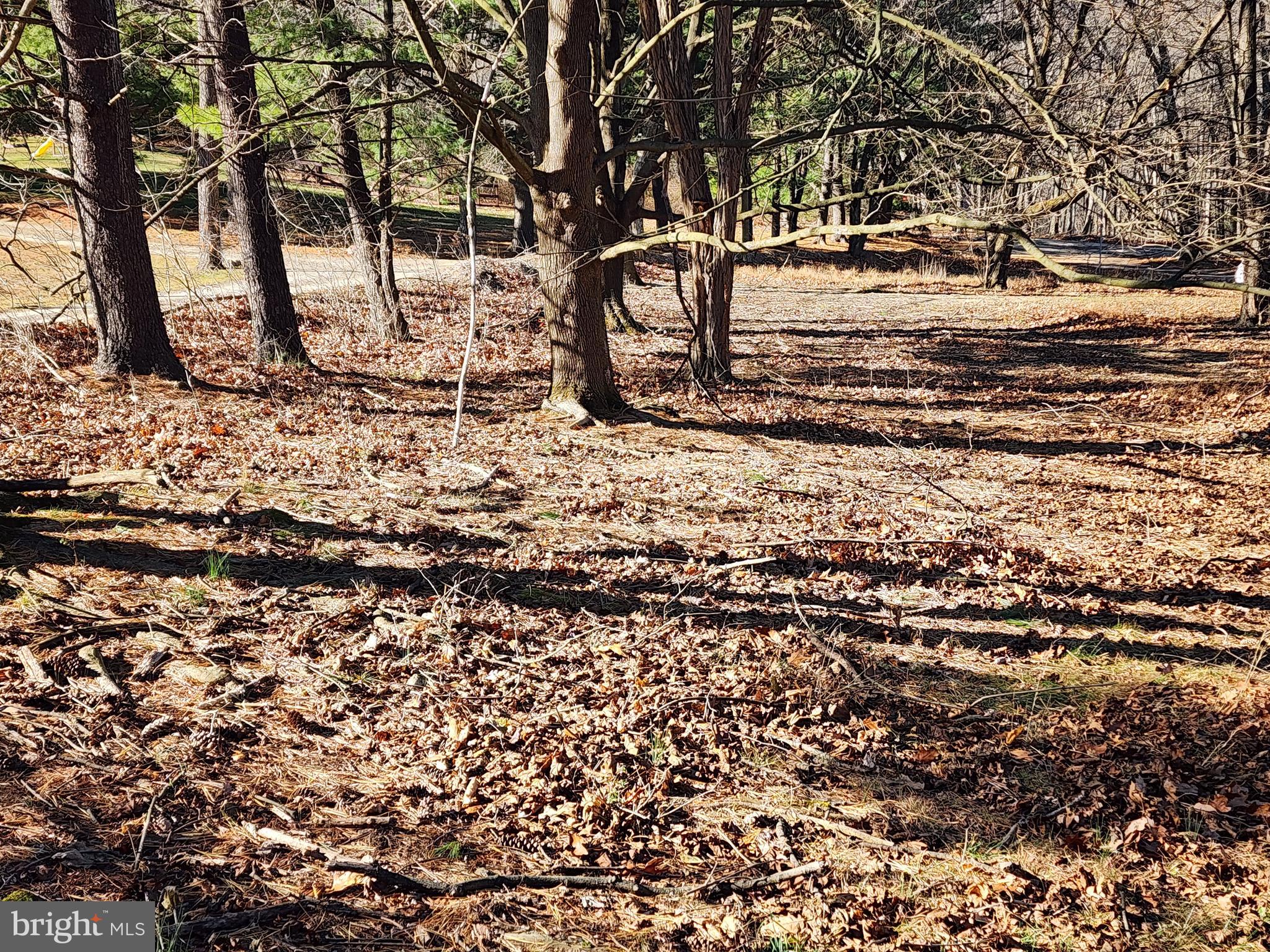 15689 Ridge Road Fort Loudon, PA 17224 - Photo 8 of 24 a picture of trees