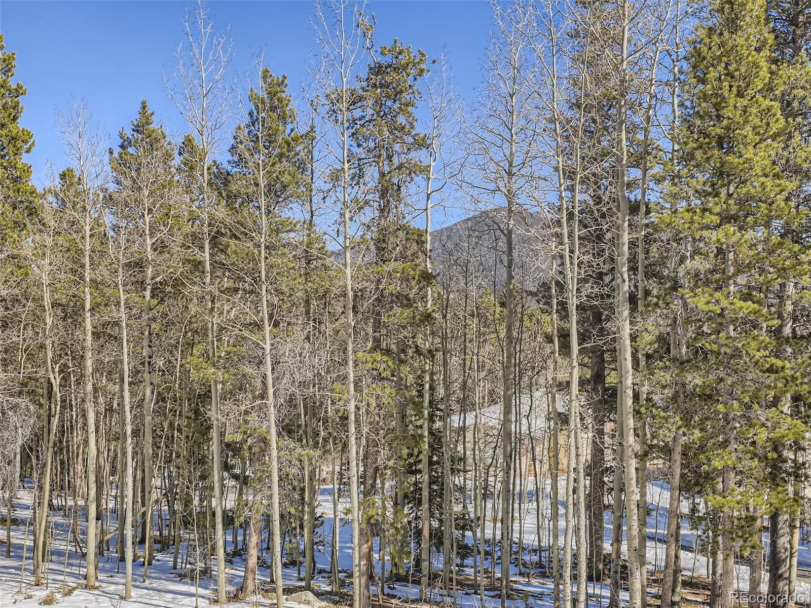 476 Caesar Road Black Hawk, CO 80422 - Photo 27 of 29
