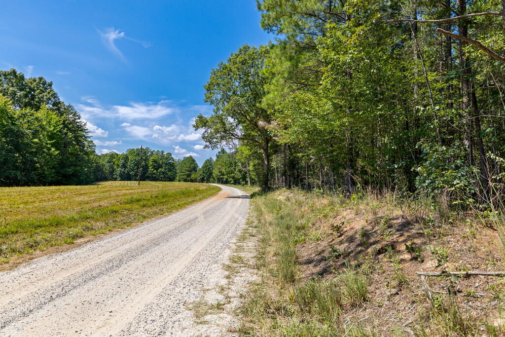 Davis Lowground Road, Unit 9 Keysville, VA 23947 - Photo 13 of 17 Gallery Image 13