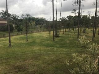 5446 Reynolds Road Lake Worth, FL 33449 - Photo 18 of 24 IMG_3460