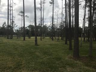 5446 Reynolds Road Lake Worth, FL 33449 - Photo 2 of 24 IMG_3432