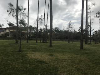 5446 Reynolds Road Lake Worth, FL 33449 - Photo 3 of 24 IMG_3433