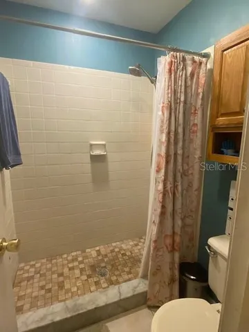 a bathroom with a shower and a toilet