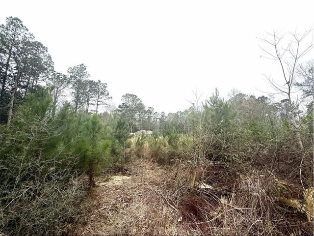 0 Lilac Drive Lacombe, LA 70445 - Photo 1 of 3