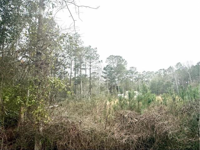 0 Lilac Drive Lacombe, LA 70445 - Photo 2 of 3