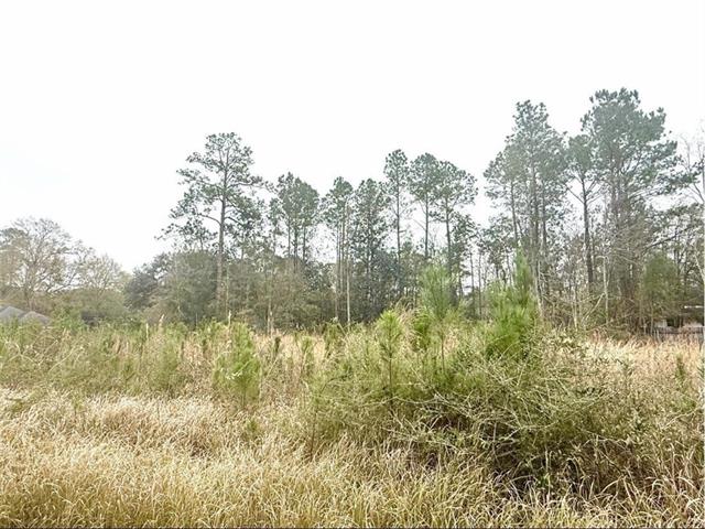 0 Lilac Drive Lacombe, LA 70445 - Photo 3 of 3