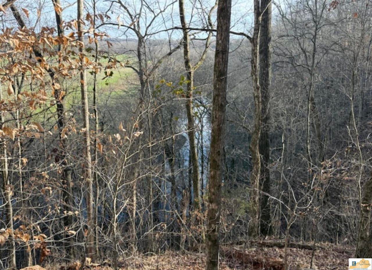 38-ac Murrah Road Columbia, KY 42728 - Photo 1 of 8 Gallery Image 1