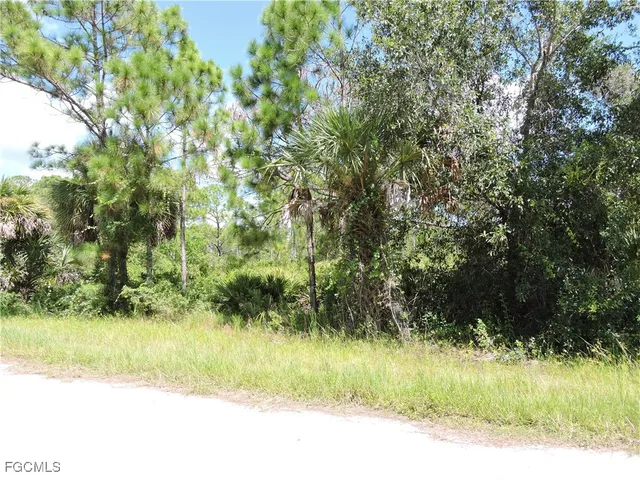 a view of a garden with a tree