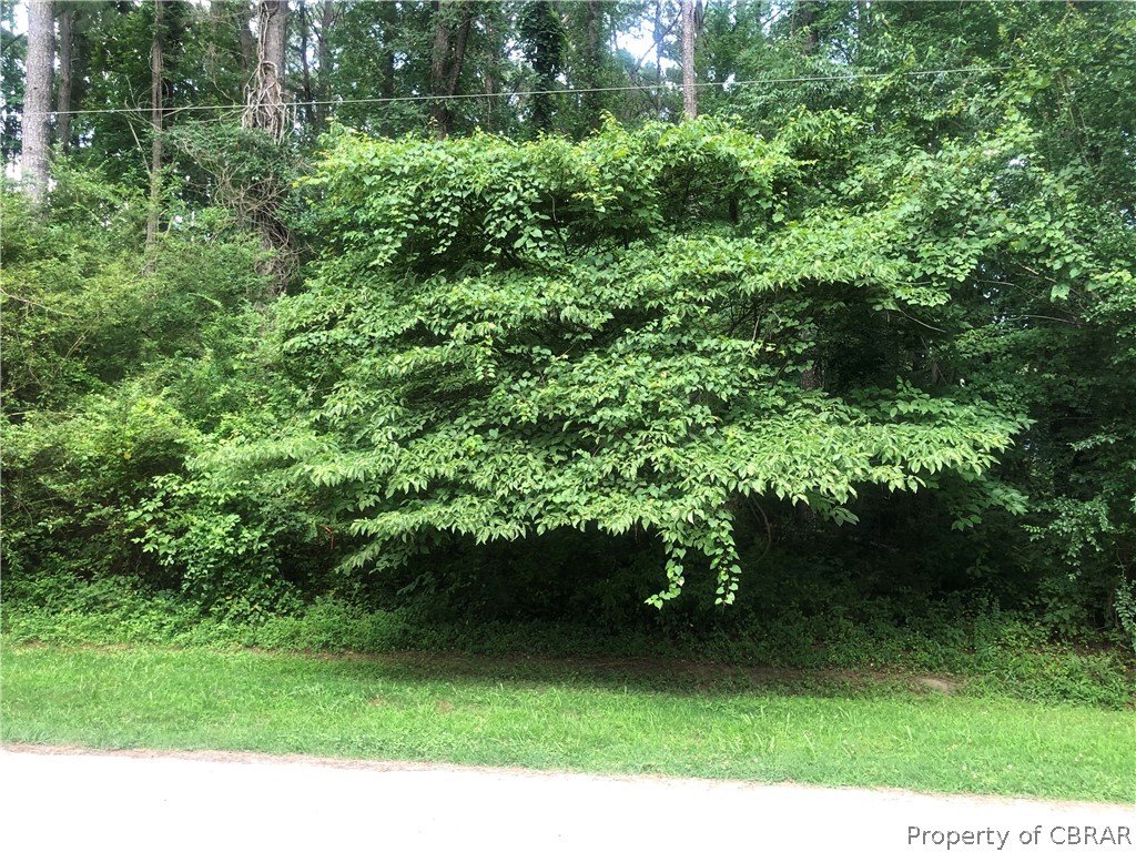 0 Sanders Landing Road North, VA 23128 - Photo 11 of 14