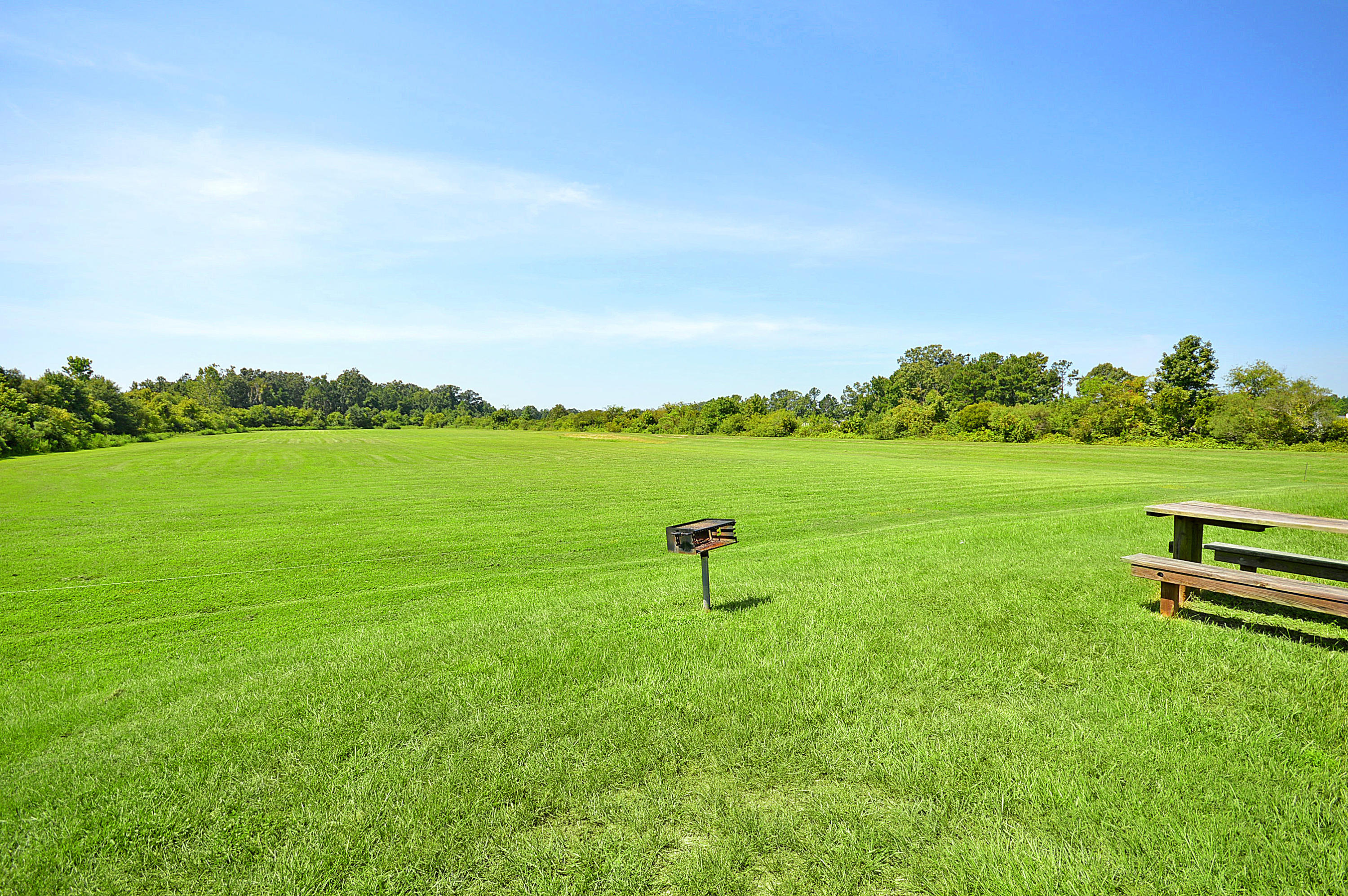 110 Lakestone Road Moncks Corner, SC 29461 - Photo 33 of 36 11WideopenField2